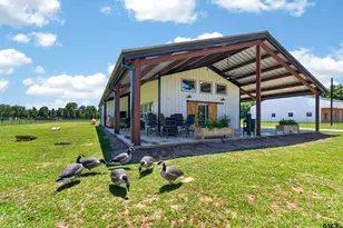21230 Co Rd 4202, Chandler, TX 75758 - Photo 43