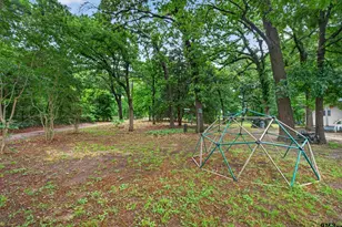 16884 County Rd 3147, Tyler, TX 75706 - Photo 19