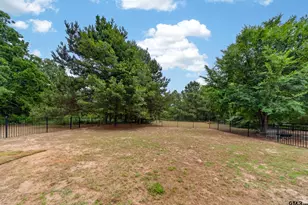 14676 County Rd 424, Lindale, TX 75771 - Photo 35