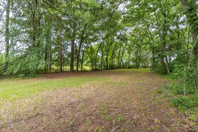 10879 E State Highway 64, Tyler, TX 75707 - Photo 3