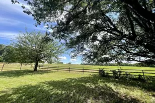 2970 Cr 2110, Pittsburg, TX 75686 - Photo 23