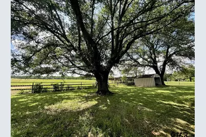 2970 Cr 2110, Pittsburg, TX 75686 - Photo 21