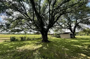 2970 Cr 2110, Pittsburg, TX 75686 - Photo 21