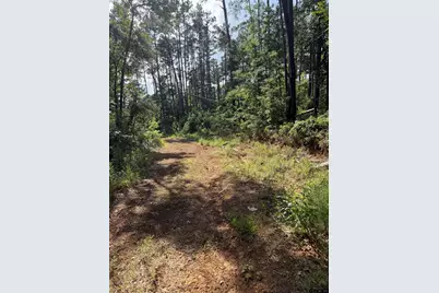 0232 Sunset Trail, Flint, TX 75762 - Photo 9