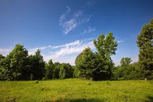 1211 An County Rd 153, Palestine, TX 75801 - Photo 35