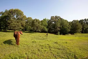 1211 An County Rd 153, Palestine, TX 75801 - Photo 23