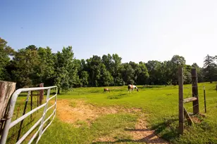 1211 An County Rd 153, Palestine, TX 75801 - Photo 21