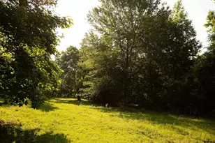 1211 An County Rd 153, Palestine, TX 75801 - Photo 33
