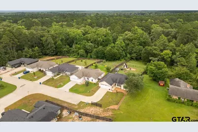 111 Lainey Lane, Mineola, TX 75773 - Photo 41