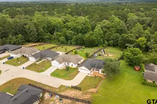 111 Lainey Ln, Mineola, TX 75773 - Photo 41