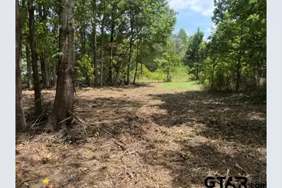 000 County Road 1204, Rusk, TX 75785 - Photo 37