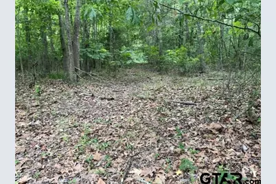 000 County Road 1204, Rusk, TX 75785 - Photo 29