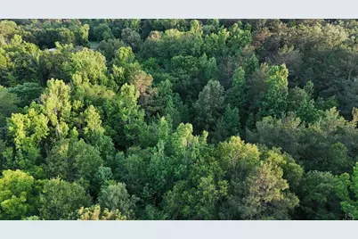 000 County Road 1204, Rusk, TX 75785 - Photo 19