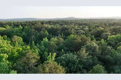 000 County Road 1204, Rusk, TX 75785 - Photo 13