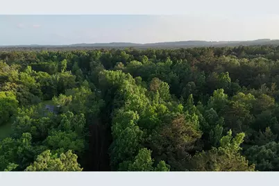 000 County Road 1204, Rusk, TX 75785 - Photo 11