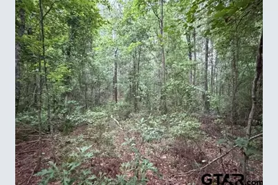 000 County Road 1204, Rusk, TX 75785 - Photo 33