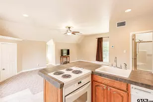 13510 White Tail, Tyler, TX 75707 - Photo 33