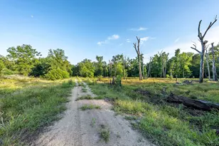 16661 Pr 2360, Oakwood, TX 75855 - Photo 5