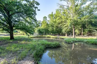 16661 Pr 2360, Oakwood, TX 75855 - Photo 43