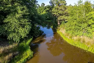 16661 Pr 2360, Oakwood, TX 75855 - Photo 7