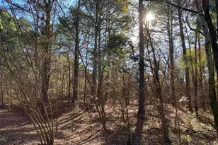 Lot 11 Carene, Frankston, TX 75763 - Photo 1