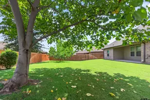 4354 Madera Dr, Tyler, TX 75707 - Photo 47