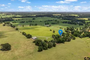 1423 An County Road 469, Palestine, TX 75803 - Photo 3