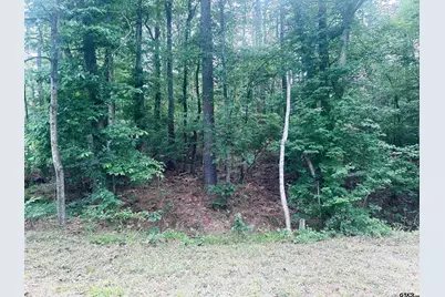 Tbd Brandon St, Troup, TX 75789 - Photo 3