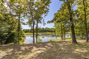 660 Co Rd 1503, Alba, TX 75410 - Photo 41