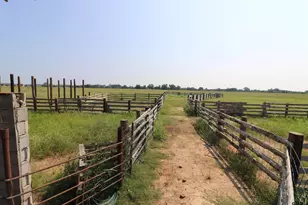 14702 State Hwy 155, Ore City, TX 75683 - Photo 37