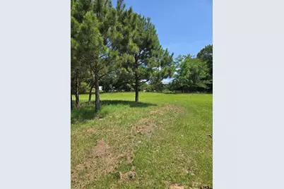 Tbd Cr 485, Tyler, TX 75706 - Photo 3