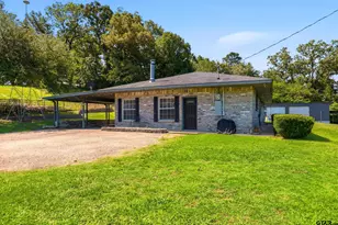 430 Fm 3384, Pittsburg, TX 75686 - Photo 3