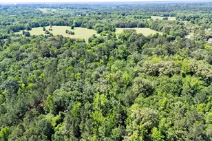 1085 Pyeatt Rd, Gladewater, TX 75647 - Photo 13