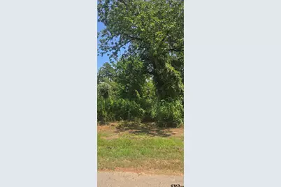 Tbd Lot 1 Brierwood Drive, Frankston, TX 75763 - Photo 5
