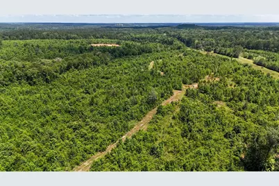 000 Avinger Cutoff Road, Avinger, TX 75630 - Photo 17
