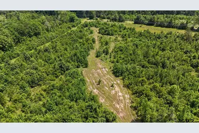000 Avinger Cutoff Road, Avinger, TX 75630 - Photo 25