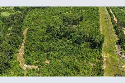 000 Avinger Cutoff Road, Avinger, TX 75630 - Photo 15