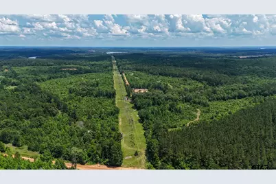 000 Avinger Cutoff Road, Avinger, TX 75630 - Photo 1
