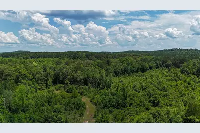 000 Avinger Cutoff Road, Avinger, TX 75630 - Photo 11