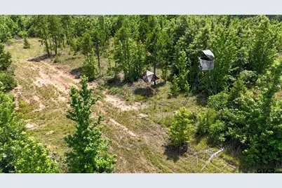 000 Avinger Cutoff Road, Avinger, TX 75630 - Photo 21