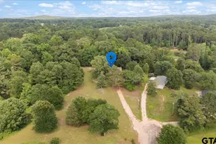 105 Pepper Cir, Diana, TX 75640 - Photo 47