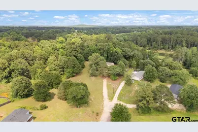 105 Pepper Circle, Diana, TX 75640 - Photo 45