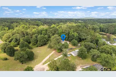 105 Pepper Circle, Diana, TX 75640 - Photo 45