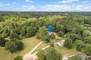 105 Pepper Cir, Diana, TX 75640 - Photo 45