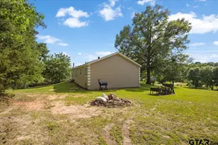 105 Pepper Cir, Diana, TX 75640 - Photo 41