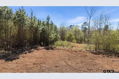 19840 Fm 345 Lot 2, Arp, TX 75750 - Photo 3