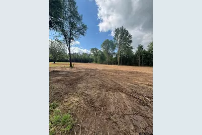 Tbd Fm 345 Lot 2, Arp, TX 75750 - Photo 1