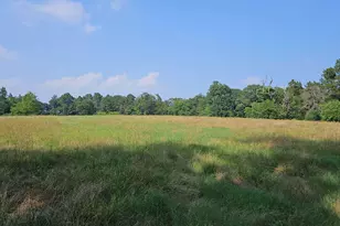 893 FM 1519, Pittsburg, TX 75686 - Photo 41