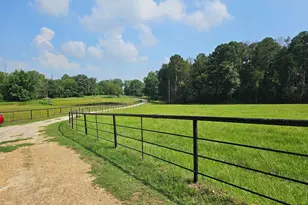 893 FM 1519, Pittsburg, TX 75686 - Photo 25