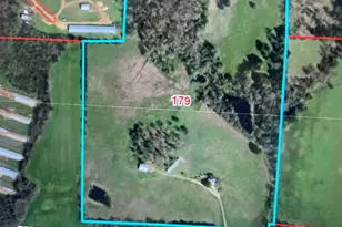 893 FM 1519, Pittsburg, TX 75686 - Photo 43
